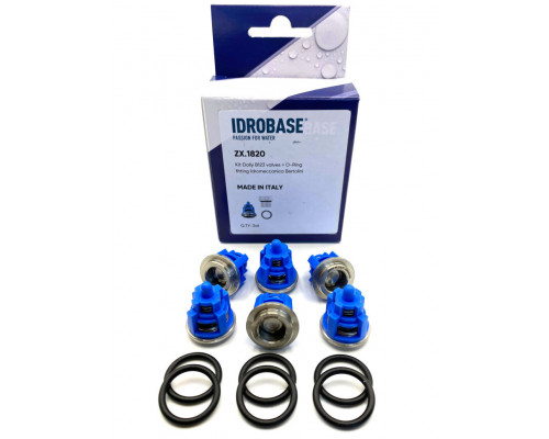 KIT 123 TML, TM, RAL, RB Комплект клапанов для Bertolini, ZX.1820 Италия IDROBASE