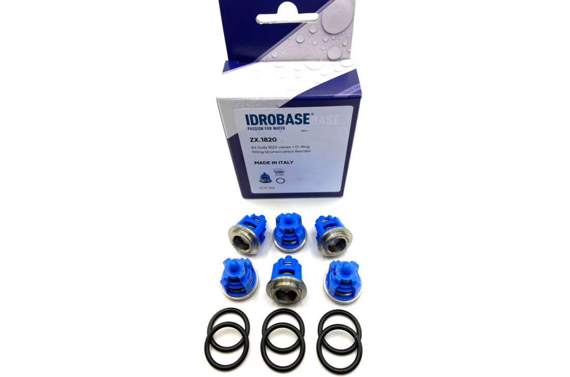 KIT 123 TML, TM, RAL, RB Комплект клапанов для Bertolini, ZX.1820 Италия IDROBASE