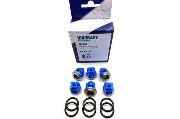 KIT 123 TML, TM, RAL, RB Комплект клапанов для Bertolini, ZX.1820 Италия IDROBASE