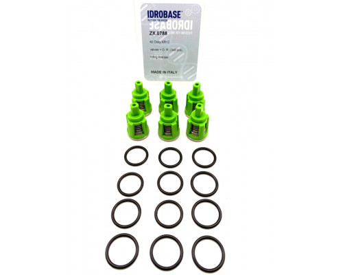 KR12 KIT Комплект клапанов для Kranzle моделей: 105-125, B, HD, Profi-jet, Quadro, THERM, ZX.0788, Италия IDROBASE