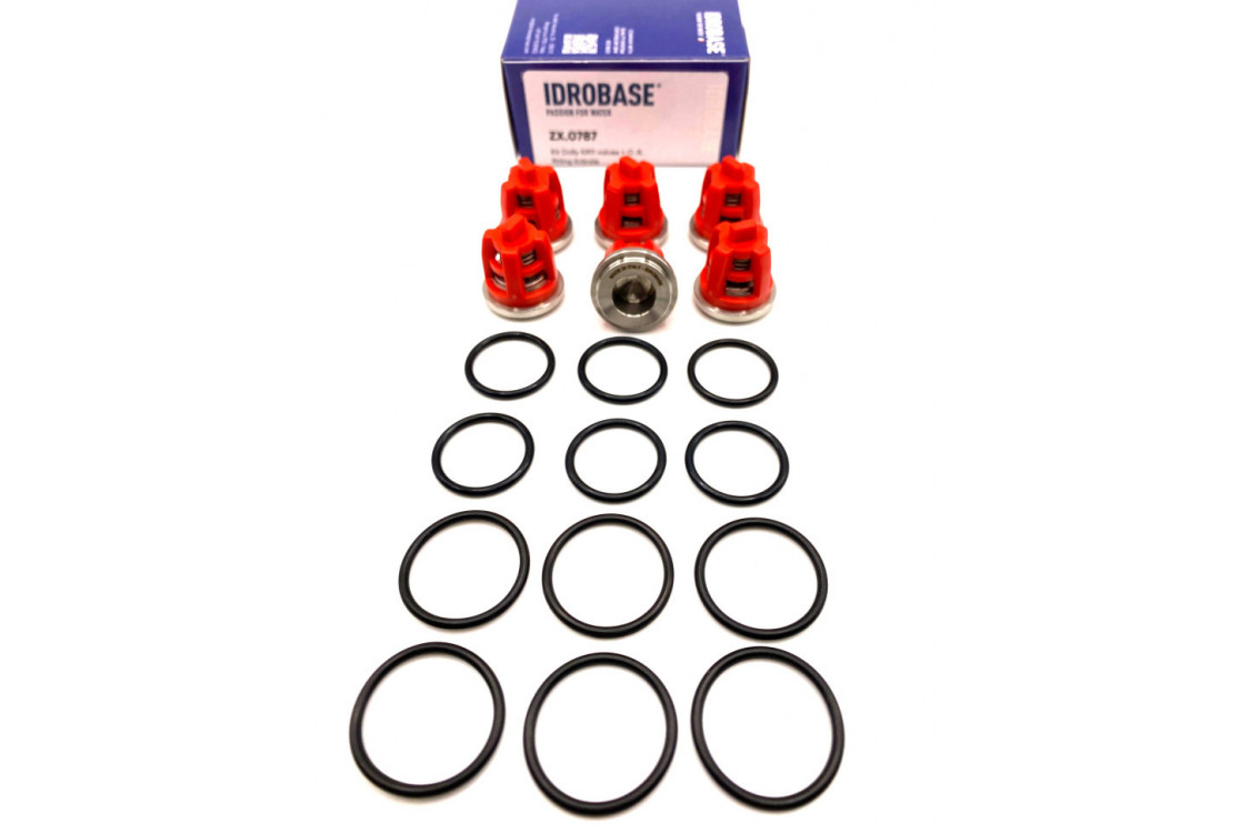 KR11 KIT Комплект клапанов для Kranzle моделей: AQ, B, D, HD, 3170-3270, Profi-jet, Quadro, THERM, W, ZX.0787, Италия IDROBASE