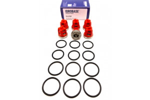 KR11 KIT Комплект клапанов для Kranzle моделей: AQ, B, D, HD, 3170-3270, Profi-jet, Quadro, THERM, W, ZX.0787, Италия IDROBASE
