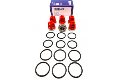 KR11 KIT Комплект клапанов для Kranzle моделей: AQ, B, D, HD, 3170-3270, Profi-jet, Quadro, THERM, W, ZX.0787, Италия IDROBASE
