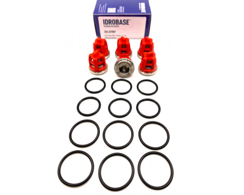 KR11 KIT Комплект клапанов для Kranzle моделей: AQ, B, D, HD, 3170-3270, Profi-jet, Quadro, THERM, W, ZX.0787, Италия IDROBASE