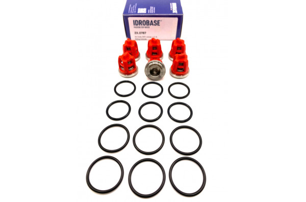KR11 KIT Комплект клапанов для Kranzle моделей: AQ, B, D, HD, 3170-3270, Profi-jet, Quadro, THERM, W, ZX.0787, Италия IDROBASE