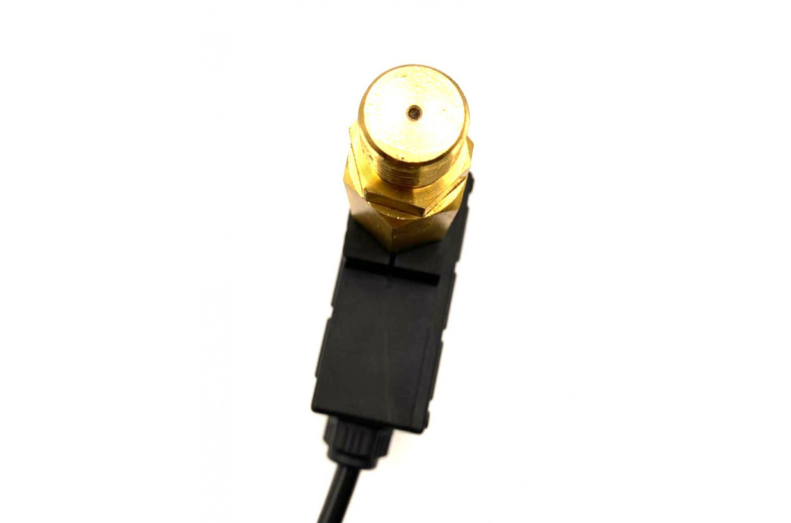 BF-8132 29.0080.80 Датчик давления для насоса, 220 V, 45 бар, 3/8"M, черный