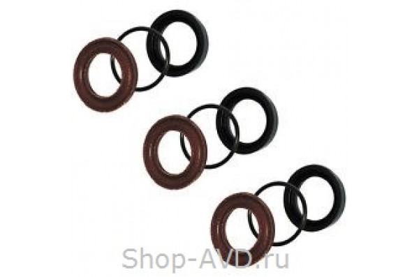 Комплект уплотнений для RK18.20HN на 3 поршня