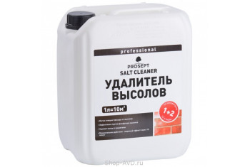 PROSEPT SALT CLEANER Удалитель высолов (16 шт)