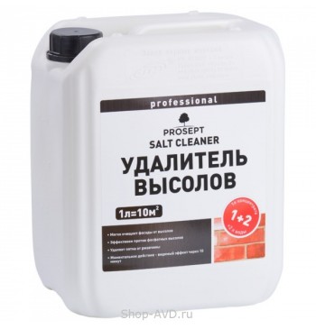 PROSEPT SALT CLEANER Удалитель высолов (16 шт)