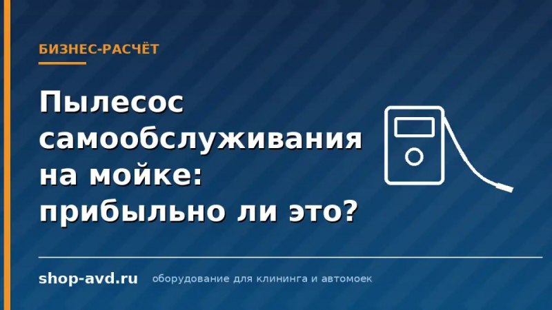 Пылесос самообслуживания на мойке прибыльно?