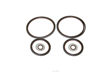 Hawk Комплект уплотнений на 3 поршня 16 мм (серия NHD)