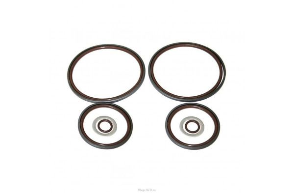 Hawk Комплект уплотнений на 3 поршня 16 мм (серия NHD)