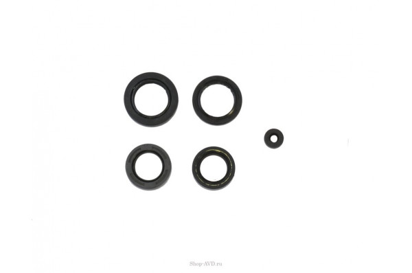 Jettos Комплект клапанов MJ (6 шт)