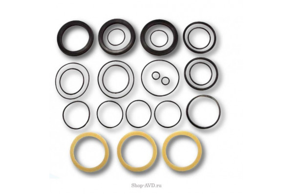 Hawk Полный комплект уплотнений на 1 поршень 18 мм (серия NPM 250 бар)