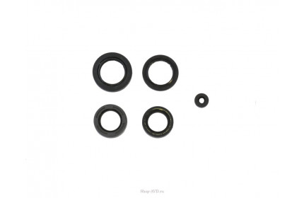 Jettos Комплект клапанов LJ (6 шт)