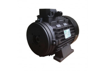 Мотор H132L HP 12.5 4P MA AC KW 9,2