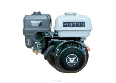 Автономная бензиновая мойка-моноблок AXD 3025G (Zongshen)