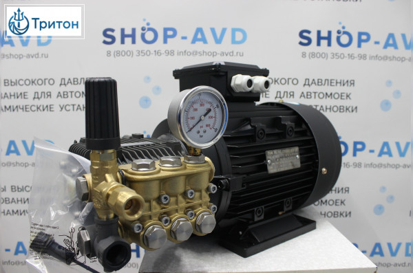 Моноблок Тритон T 15/200 BP 5.5 T