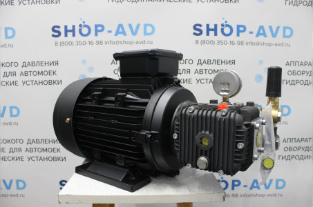 Моноблок Тритон T 15/200 BP 5.5 T