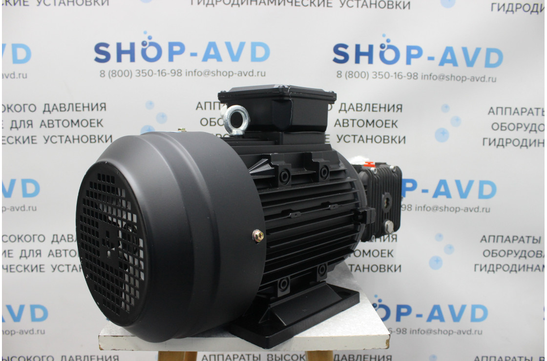 Моноблок Тритон T 15/200 BP 5.5 T