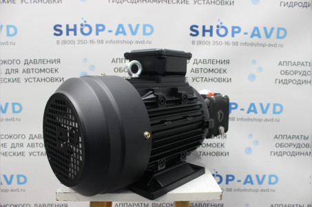 Моноблок Тритон T 15/200 BP 5.5 T