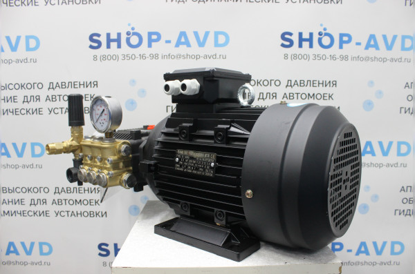 Моноблок Тритон T 15/200 BP 5.5 T