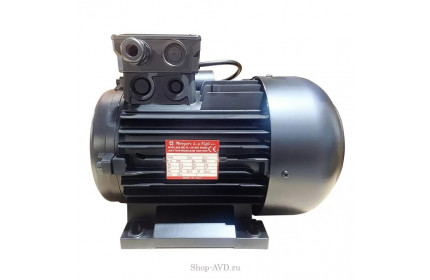 Двигатель 5.5 кВт, 400/230В, H112 полый вал d24мм, фланец насоса 75 мм