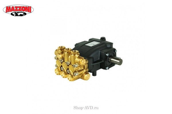 Насос Mazzoni PMD15200R