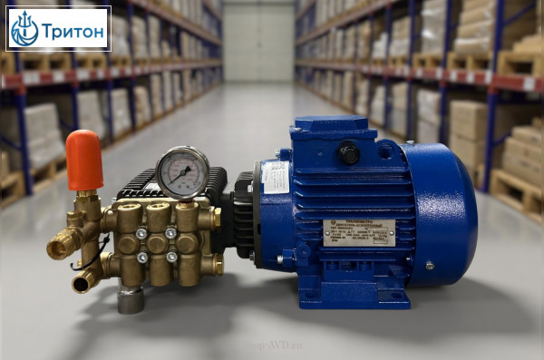 Моноблок Тритон BR WJC 7/100 BP 1.1(без электрики с манометром)