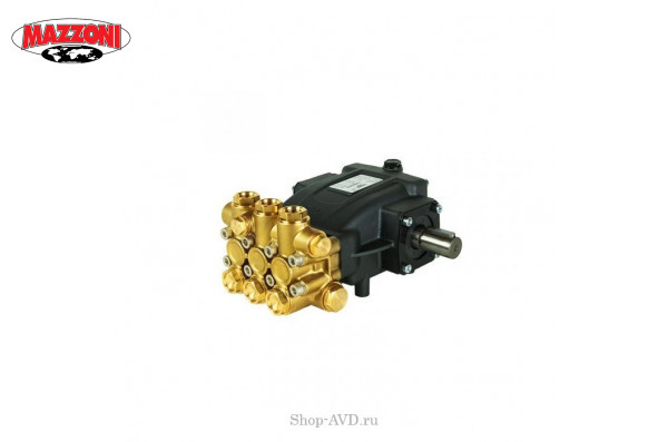 Насос Mazzoni серия PMD, модель PMD11200R