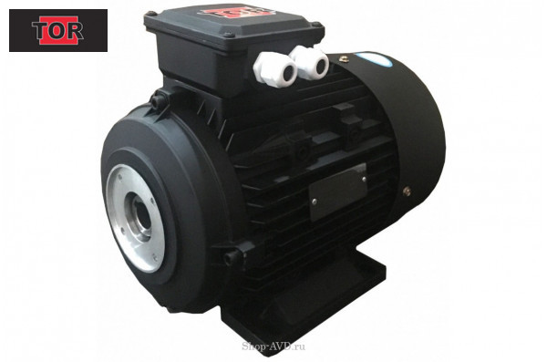TOR H112 HP 7.5 2P MA AC KW 5,0 2P - электродвигатель для помпы высокого давления