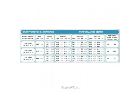 Насос Bertolini KKL 4216
