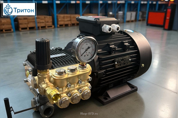 Моноблок TOR 15/20 BP 5.5 TOR ( + манометр)