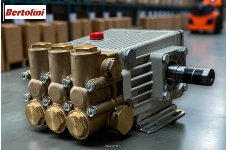 Насос Bertolini CR 1010 