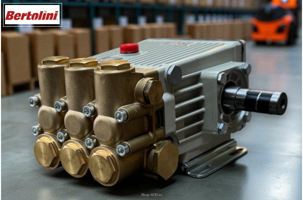 Насос Bertolini CR 1010 