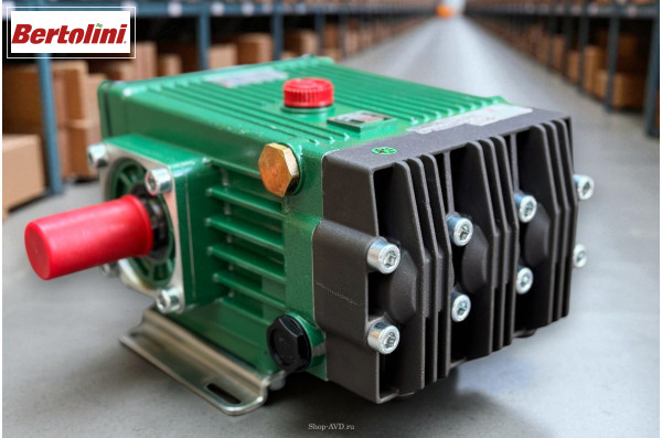 Насос Bertolini C 53.3 P 