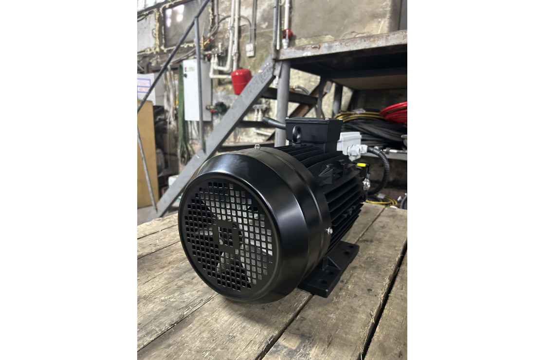 Моноблок Тритон T21/250 BP 12.5 TI