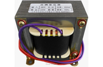 Трансформатор-преобразователь 380В - 220В.