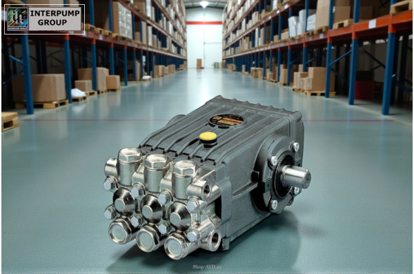 Насос TOR IPG WS201 