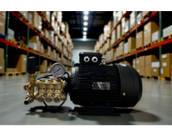 Моноблок Тритон T 15/200 TS 5.5 T (без электрики)