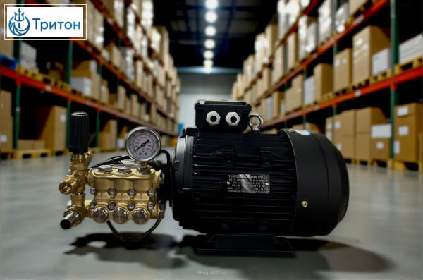 Моноблок Тритон T 15/200 TS 5.5 T (без электрики)