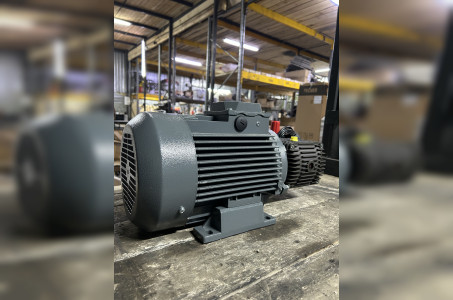 Моноблок Тритон B 15/200 TS 5.5 (без электрики)