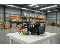 Моноблок TOR 15/200 BP 5.5 T (с манометром)