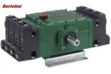 Bertolini  С 220 Р