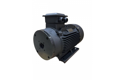 Мотор TOR H160 22 KW (межосевое расстояние 87мм)