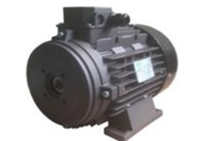 Мотор H132L HP 12.5 4P MA AC KW 9,2