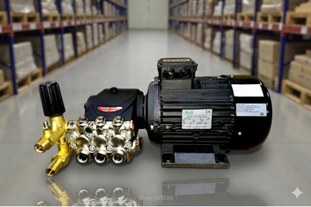 Моноблок TOR 15/200 BP 5.5 T (с манометром)