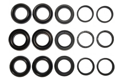 Комплект манжет ТехУм аналог KIT 102, 5019003900/50190039 для Comet FW2, Ø20 мм