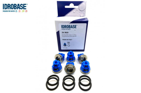 KIT 123 TML, TM, RAL, RB Комплект клапанов для Bertolini, ZX.1820 Италия IDROBASE