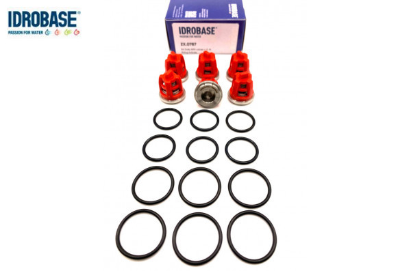 KR11 KIT Комплект клапанов для Kranzle моделей: AQ, B, D, HD, 3170-3270, Profi-jet, Quadro, THERM, W, ZX.0787, Италия IDROBASE
